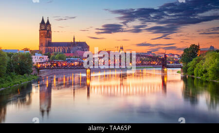 Magdeburg, Germania. Immagine Cityscape di Magdeburgo, la Germania con la riflessione della città del fiume Elba, durante il tramonto. Foto Stock
