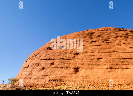 Le rocce di Kata Tjuta/l'Olgas visto dal livello del suolo in Australia Red Centre Foto Stock