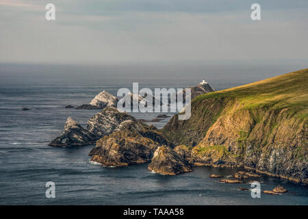 Sindrome di Muckle Flugga, Hermaness Riserva Naturale Nazionale, Unst, Shetland Foto Stock