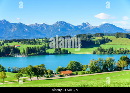 Estate calda mattina in settembre presso il Forggensee vicino a Füssen nella regione bavarese chiamato Königswinkel Foto Stock