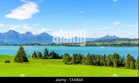 Estate calda mattina in settembre presso il Forggensee vicino a Füssen nella regione bavarese chiamato Königswinkel Foto Stock