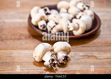 Crudo fresco champignon organico su marrone piastra ceramica sul tavolo di legno dello sfondo. Foto Stock