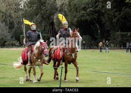 Ermine Street Guard mostra Imperial esercito romano a strappare Park, Inghilterra Foto Stock