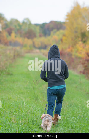 Donna in felpa con cappuccio a piedi sul percorso di erba con Yorkshire terrier cane su un croccante di autunno il giorno in una natura zona nel Wisconsin Foto Stock