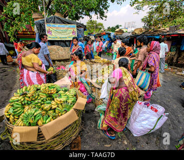 Le banane in vendita in Calcutta (Kolkata), West Bengal, India Foto Stock