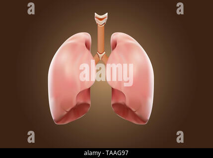 Forte del polmone autopsia concetto medico, visualizzazione 3D. Foto Stock