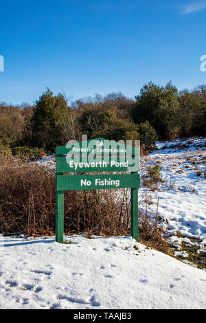 Laghetto Eyeworth commissione forestale sign in inverno con nessun avviso di pesca, New Forest, Hampshire, Regno Unito Foto Stock