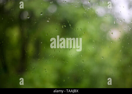 Gocce di pioggia sul vetro con sfocato verdi alberi in background Foto Stock