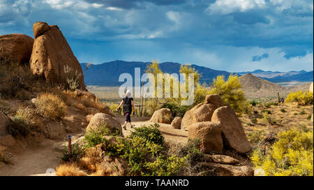 Escursionista sul sentiero del deserto in Scottsdale Arizona in primavera Foto Stock