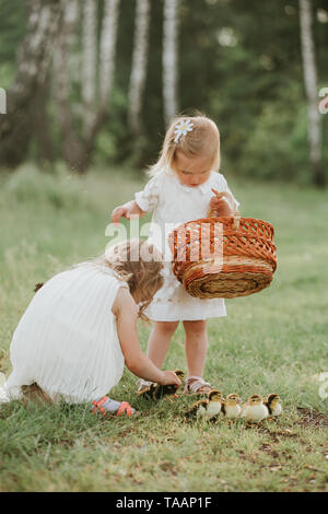 Due bambine a giocare con le anatre nel parco. Due ragazze al tramonto con belle anatroccoli Foto Stock