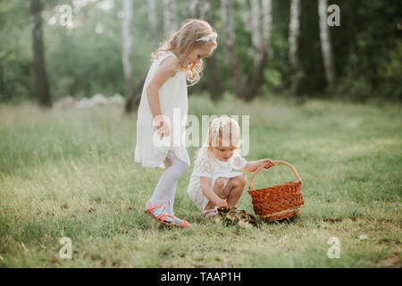 Due bambine a giocare con le anatre nel parco. Due ragazze al tramonto con belle anatroccoli Foto Stock