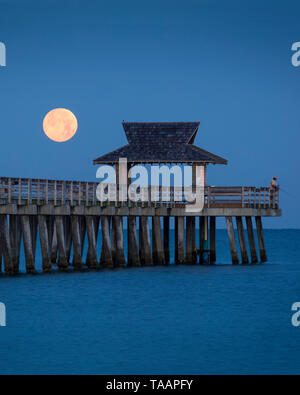 Impostazione luna piena e la mattina presto twilight oltre il Molo di Napoli, Naples, Florida, Stati Uniti d'America Foto Stock