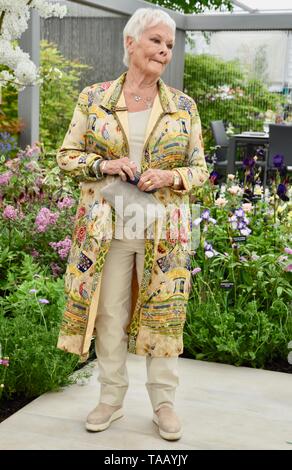 Dame Judi Dench è stata presentata con un alberello elm tree per lanciare il ri-elming della campagna britannica a partire da quest'anno. Hillier vivai, RHS Chelsea Flower Show, Londra Foto Stock