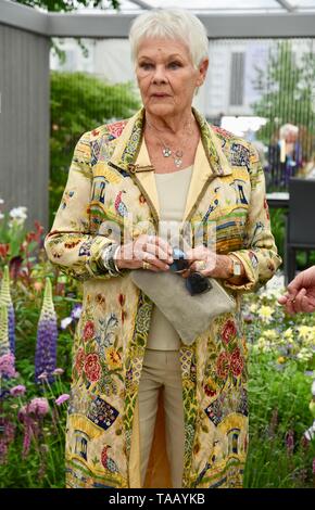 A Dame Judi Dench è stato presentato un albero di alci seghero per lanciare il rielming della campagna britannica a partire da quest'anno. Hillier Nurseries, RHS Chelsea Flower Show, Royal Hospital, Londra. REGNO UNITO Foto Stock