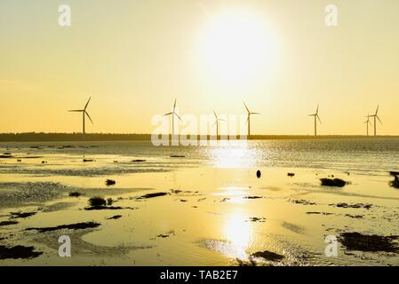 Silhouette di turbine eoliche in zone umide Gaomei durante il tramonto Foto Stock