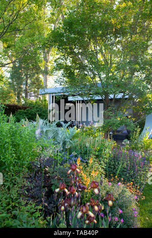 Piantando mescolato in Morgan Stanley giardino disegnato da Chris Beardshaw e vincitore di una medaglia d oro nella mostra giardino categoria al Chelsea Flower S Foto Stock