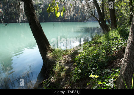 Lago Turquesa lago in eco turistico del Lago Park, San Miguel Regla, vicino Huasca de Ocampo, hidalgo, Messico. Foto Stock