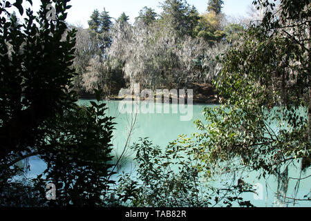 Lago Turquesa lago in eco turistico del Lago Park, San Miguel Regla, vicino Huasca de Ocampo, hidalgo, Messico. Foto Stock