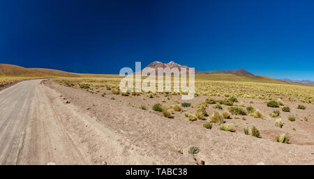 Via A Miscanti un Minique lagune di Atacama Foto Stock