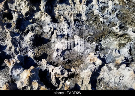 La pietra sulla riva della costa Foto Stock