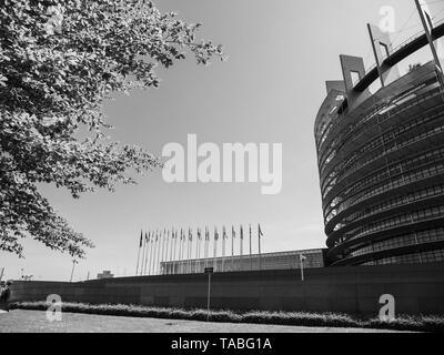 Ampia facciata del Parlamento europeo vista attraverso gli alberi della sede di Strasburgo un giorno prima del 2019 sulle elezioni per il Parlamento europeo - cielo chiaro immagine in bianco e nero Foto Stock