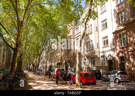 Aerei al Weissenburg Street nel quartiere di Agnes, Colonia, Germania. Platanen in der Weissenburgstrasse Agnesviertel im, Koeln, Deutschland. Foto Stock