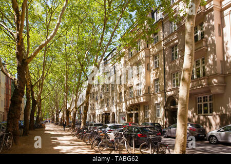 Aerei al Weissenburg Street nel quartiere di Agnes, Colonia, Germania. Platanen in der Weissenburgstrasse Agnesviertel im, Koeln, Deutschland. Foto Stock