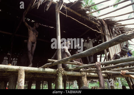 Asmat persone: gruppi etnici che vivono nella provincia di Papua di Indonesia, lungo il mare Arafura. La casa lunga a Odjanep. Fotografia scattata da Francois Foto Stock