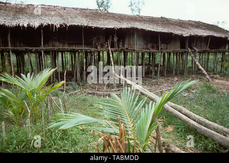 Asmat persone: gruppi etnici che vivono nella provincia di Papua di Indonesia, lungo il mare Arafura. Villaggio di Pirien. Fotografia scattata da Francois Gohier ho Foto Stock