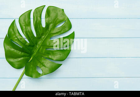Estate idee concetto con foglia tropicale bordo del frame sul pastello blu sullo sfondo di legno con libero spazio di copia Foto Stock