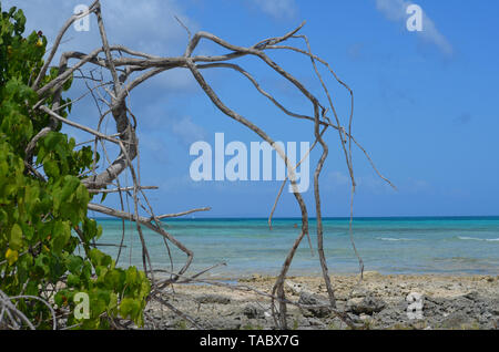 Spiaggia Guardalavaca nel sud di Cuba, attualmente minacciata da un massiccio insostenibile modello di turismo Foto Stock