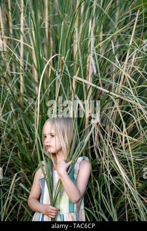 Ritratto di bionda bambina di fronte Pampas erba Foto Stock