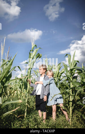 Un ragazzo e una ragazza in piedi in un cornfield Foto Stock