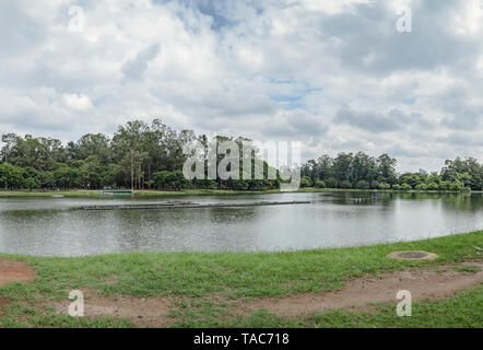 Sao Paulo SP, Brasile - 02 Marzo 2019: il lago del Parco di Ibirapuera. Foto Stock