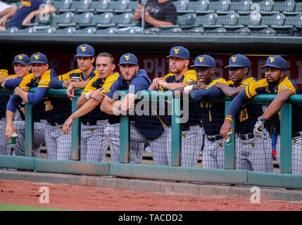 Oklahoma City, OK, Stati Uniti d'America. 23 Maggio, 2019. West Virginia squadra guarda dalla panchina durante un Phillips 2019 66 12 Grandi campionato di baseball secondo round gioco tra il West Virginia alpinisti e i Texas Tech Red Raiders a Chickasaw Bricktown Ballpark in Oklahoma City, OK. Siegel grigio/CSM/Alamy Live News Foto Stock