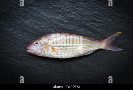 Fresco pesce crudo su sfondo scuro / frutti di mare oceano pesce gourmet per cucinare nel ristorante Foto Stock