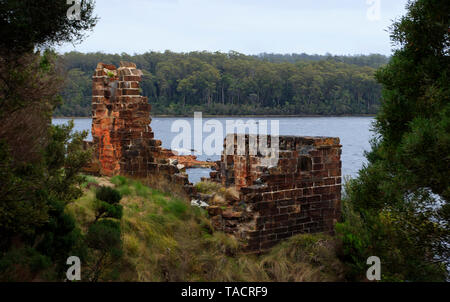 Rovine del nuovo Penitentary a Sarah isola trusty insediamento penale su Macquarie porto vicino Strahan sulla costa occidentale della Tasmania Australia. Foto Stock