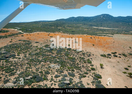 Vista aerea di fiori selvatici nella sezione Skilpad del Namaqua National Park in Northern Cape Provincia del Sud Africa. Foto Stock