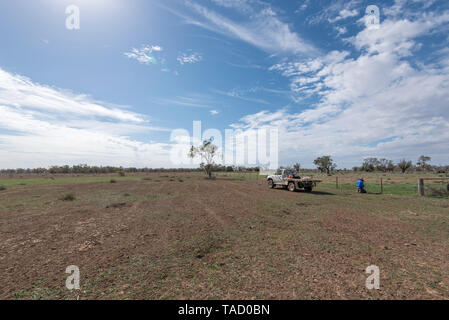 Maggio 2019 Burren Junction Australia: su una siccità che ha devastato la proprietà nel nord-ovest del Nuovo Galles del Sud, imprenditore Richard riparazioni Marshall un filo danneggiato recinto. Foto Stock