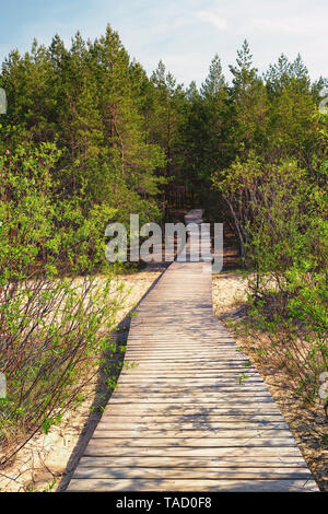 Percorso di legno conduce attraverso le dune di foresta Foto Stock