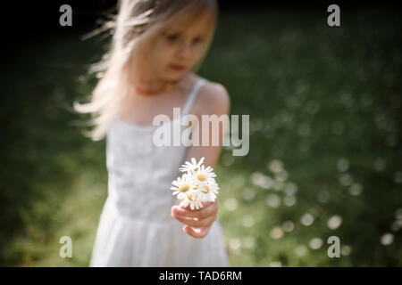 Piccola ragazza con fiori in campo Foto Stock