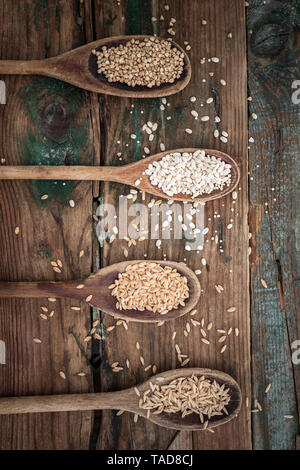 Avena, farro, orzo e buckweath su cucchiai Foto Stock