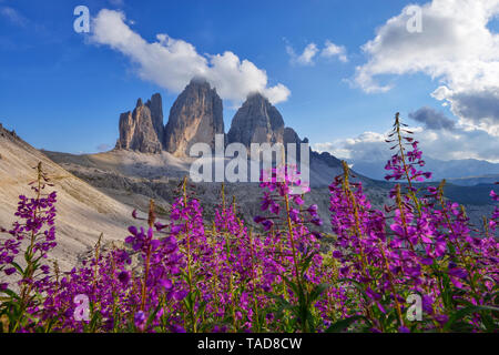 L'Italia, Dolomiti di Sesto, le Tre Cime di Lavaredo, parco naturale Tre Cime, patrimonio mondiale Unesco sito naturale Foto Stock