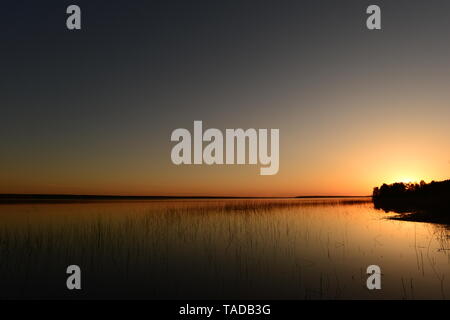 Tramonto ora d'oro del sole nel cielo imposta dietro gli alberi della riva del lago cape Foto Stock