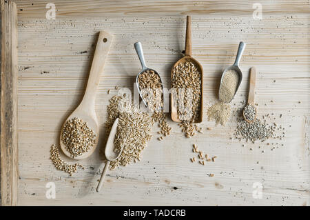 Organici di frumento, segala shot, amaranto, farro, grano saraceno e oat sulle Pale e sul legno, dal di sopra Foto Stock