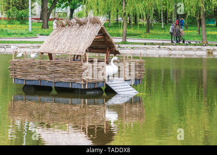 Frammento di il lago dei cigni nella città di Rivne, Ucraina. Foto Stock