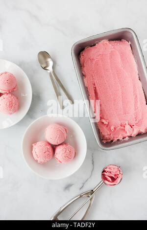 Costretto rabarbaro gelato nel contenitore e scoop in ciotole in marmo bianco con sfondo spazio copia. Vista dall'alto. Foto Stock