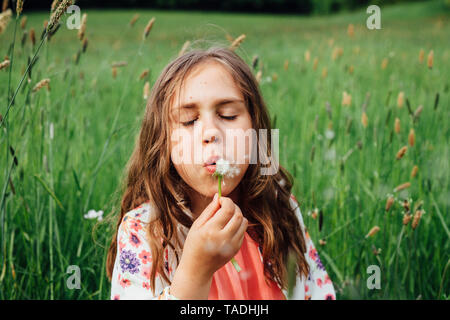 Ritratto di ragazza blowball soffiaggio su un prato Foto Stock