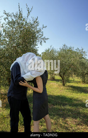 L'Italia, Toscana, matura in oliveto baciare sotto un panno Foto Stock