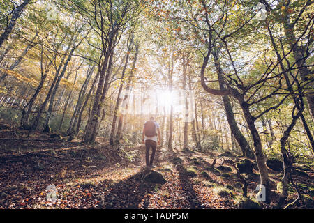 Spagna, Navarra, foresta di Irati, giovane uomo in piedi nella lussureggiante foresta Foto Stock